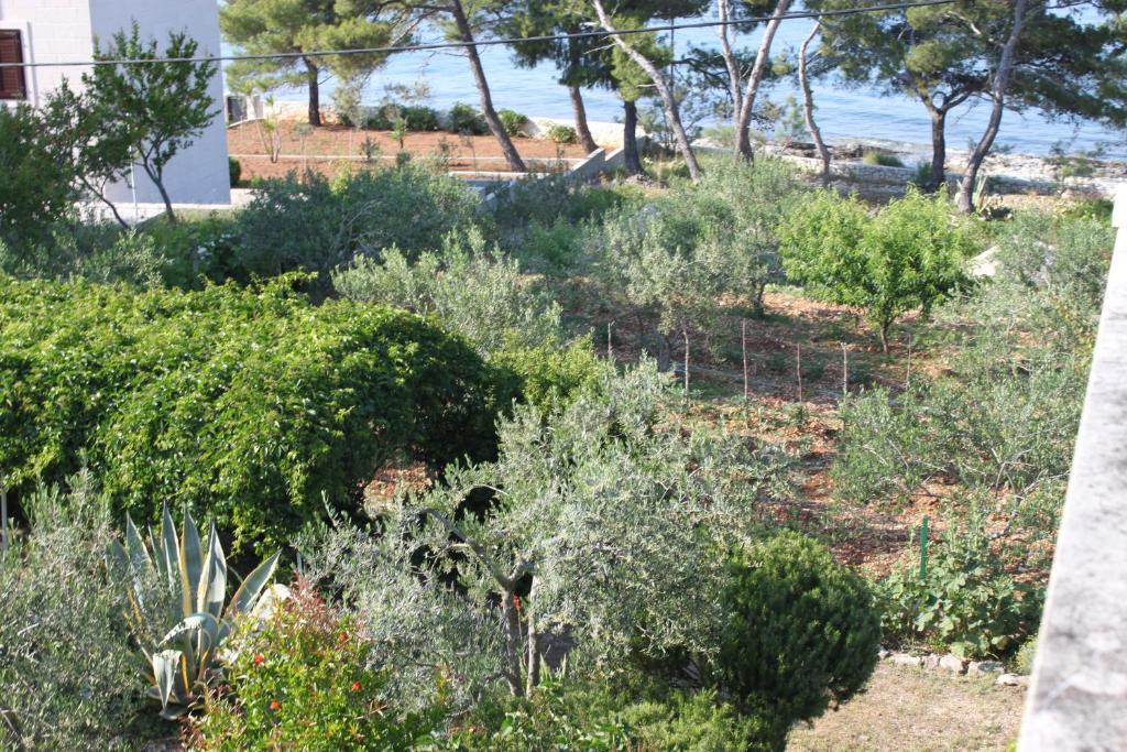 Oasis Apartments Sutivan Rom bilde